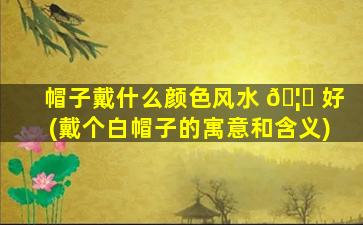 帽子戴什么颜色风水 🦟 好(戴个白帽子的寓意和含义)